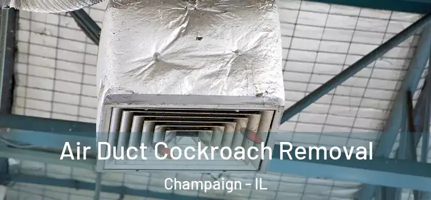 Air Duct Cockroach Removal Champaign - IL