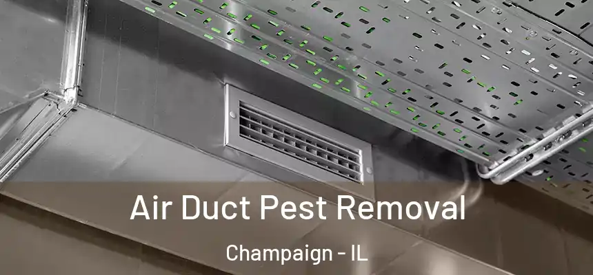 Air Duct Pest Removal Champaign - IL
