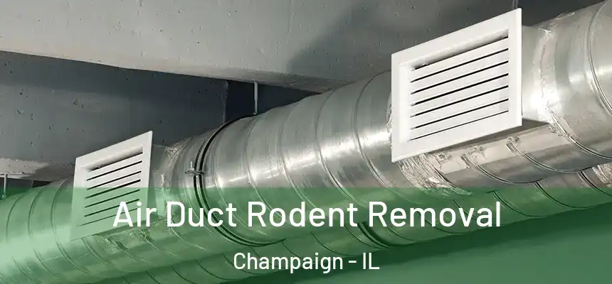 Air Duct Rodent Removal Champaign - IL