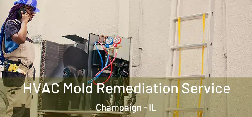  HVAC Mold Remediation Service Champaign - IL