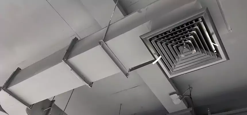 Restorative Allergy Relief Vent Cleaning – Coil, Blower & Housing Detail in Champaign