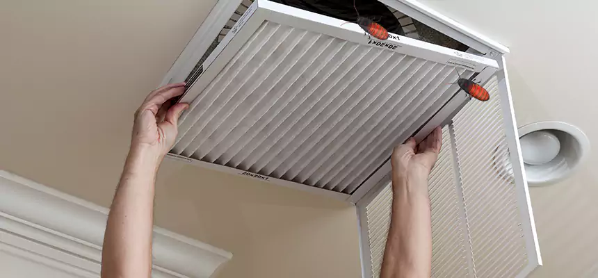 Our Insect Removal from Air Ducts Services in Champaign, IL