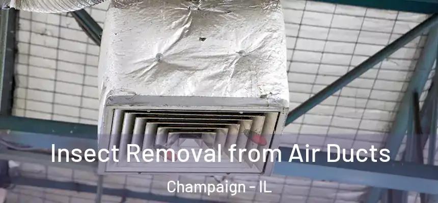 Insect Removal from Air Ducts Champaign - IL