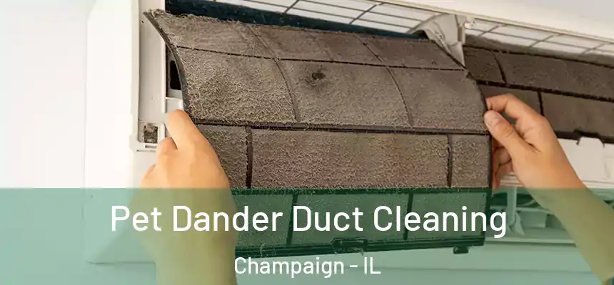 Pet Dander Duct Cleaning Champaign - IL