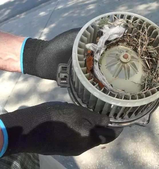 About Air Duct Rat Removal in Champaign, IL