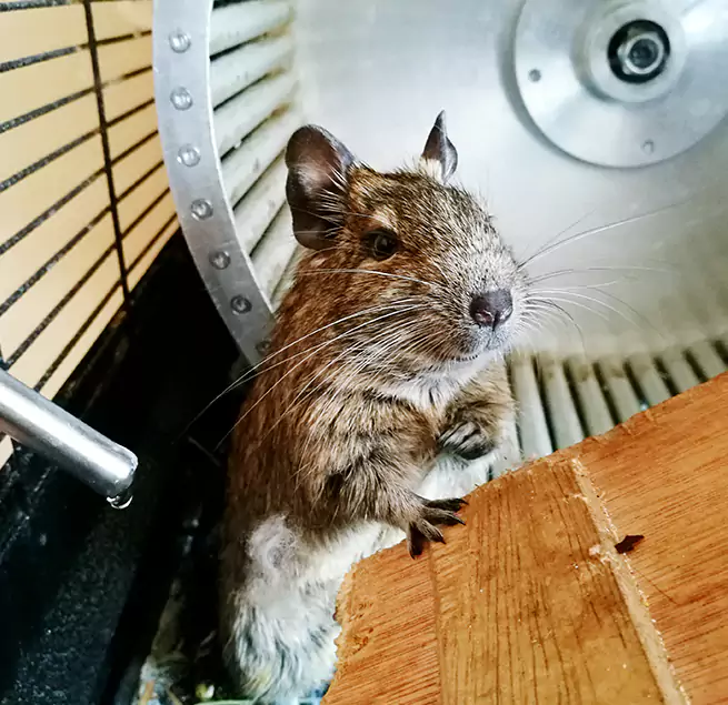 Why Homeowners & Businesses Trust Us Champaign, IL