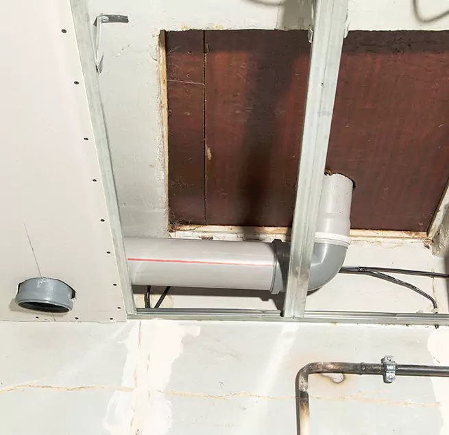 Why Homeowners & Businesses Trust Us in Champaign, IL?