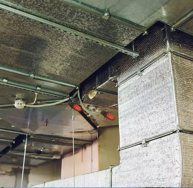 Why Homeowners & Businesses Trust Us Champaign, IL?