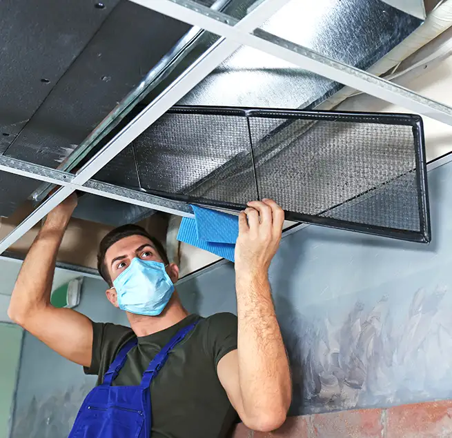 Why Homeowners & Businesses Trust Us in Champaign, IL?