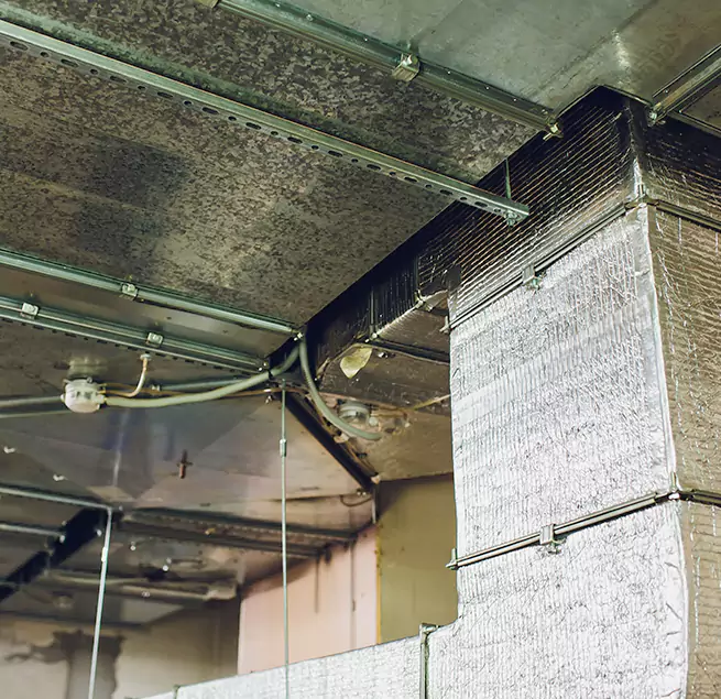 Why Homeowners & Businesses Trust Us in Champaign, IL?